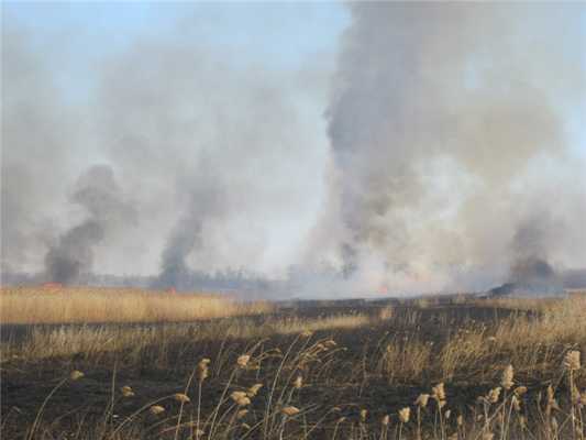 черный углерод