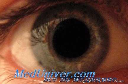 Селина Ольга Михайловна, офтальмолог (окулист) - Москва