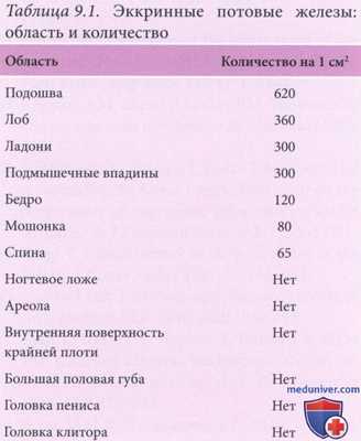 Гипергидроз (повышенное выделение пота) - причины и его критерии