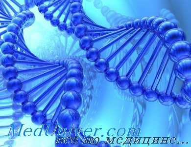 гены муковисцидоза