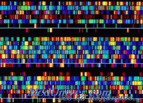 гены болезни Крона