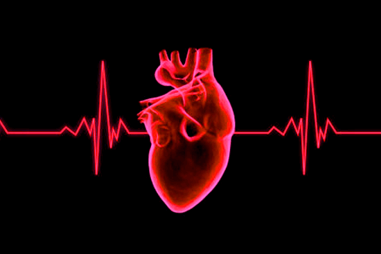 Что такое блокада правой ножки пучка Гиса и как с ней жить?