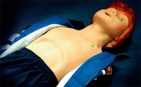 робот-тренажер