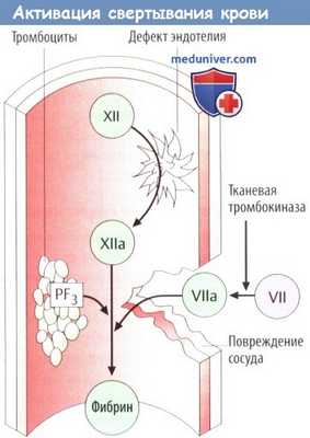 Активация свертывания крови