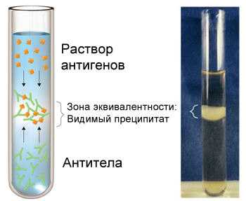 Реакция преципитации