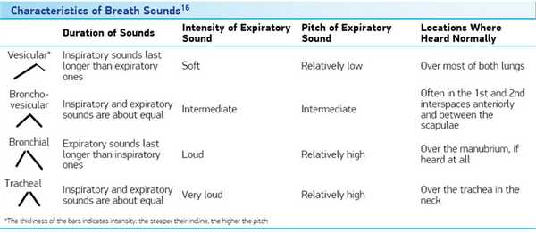 Поражения дыхательных путей у ребенка