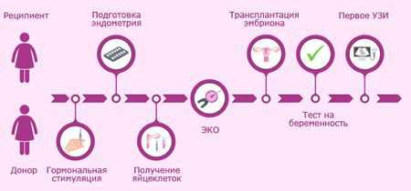 Использование донорских ооцитов