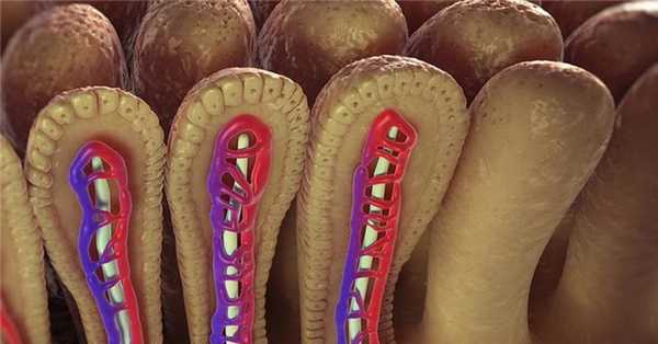 Доброкачественные опухоли тонкого кишечника