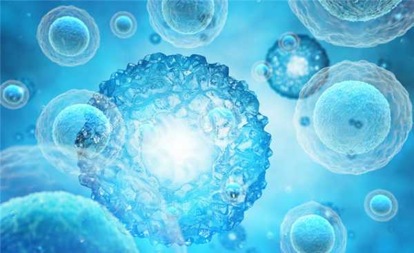 Иммунные клетки