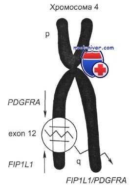 гиперэозинофильный синдром