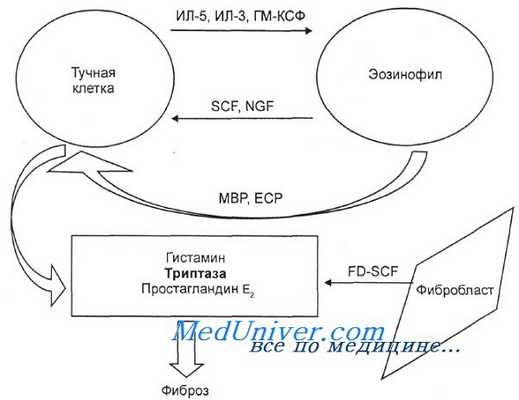 гиперэозинофильный синдром