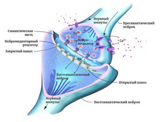 Эпилепсия у детей
