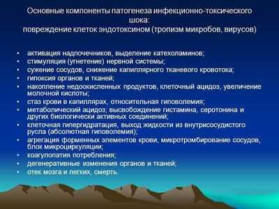 Основные компоненты патогенеза инфекционно-токсического шока
