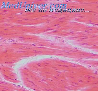 сосудистая проницаемость