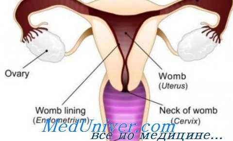 причины аменореи