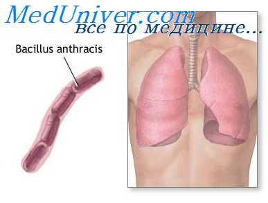 туберкулез пожилых