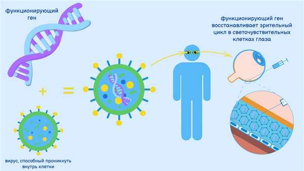 Схема генной терапии