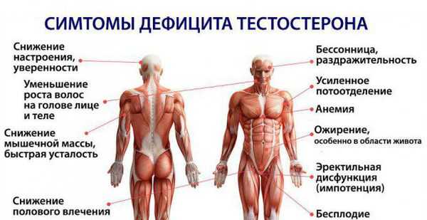 Симптомы дефицита тестостерона
