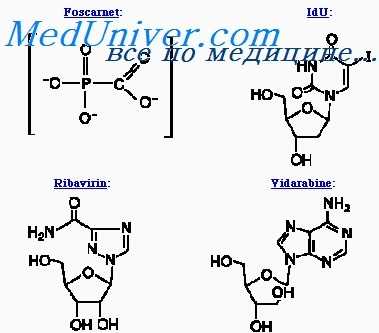 интерфероны