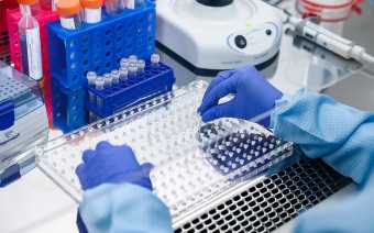 Фото:Антон Новодережкин / ТАСС