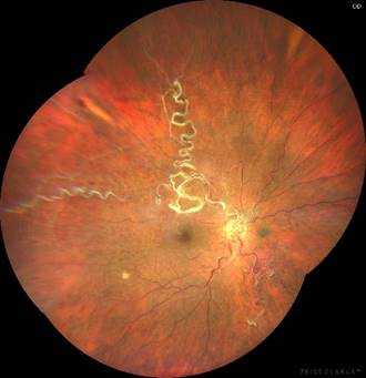 Цветной_Montage_20201217162928_OD_20201217170733_0_0