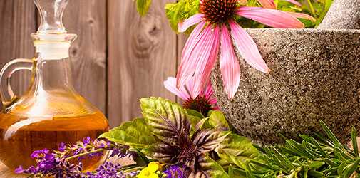 Фитотерапевты используют натуральные средства - Алкоклиник