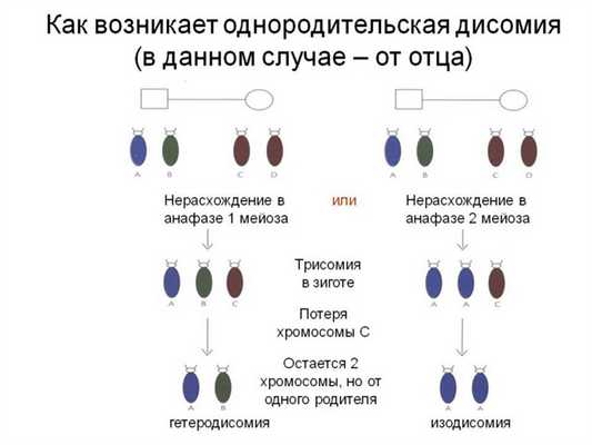 однородительская дисомия