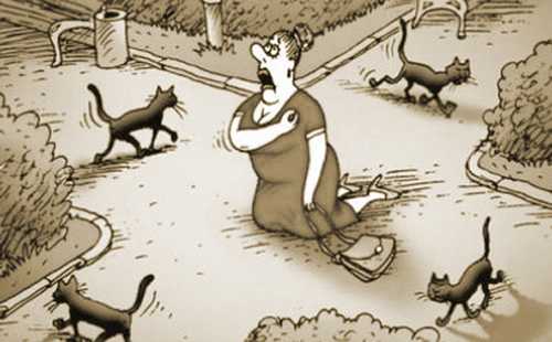 Чёрная кошка