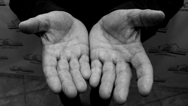 Лоор воинственный, а Щукин любвеобильный: хиромант о характерах депутатов