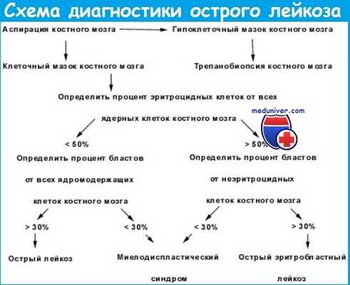 Острый миелоидный лейкоз