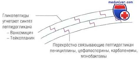 выбор антибиотика