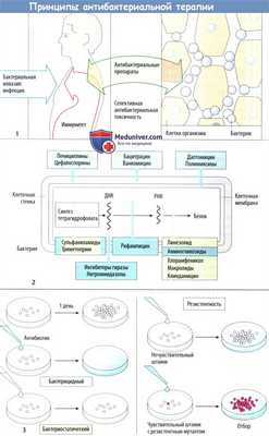 Принципы антибактериальной терапии