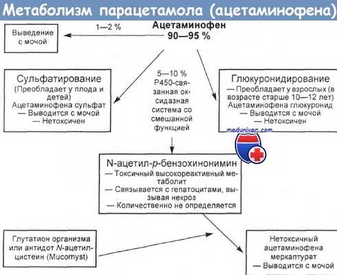 Отравление парацетамолом