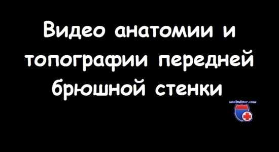 Видео анатомии и топографии передней брюшной стенки