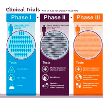 Как проводятся клинические исследования?