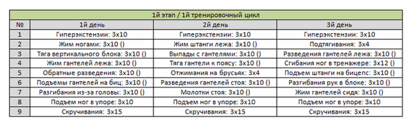 Программа тренировок: 1й цикл 