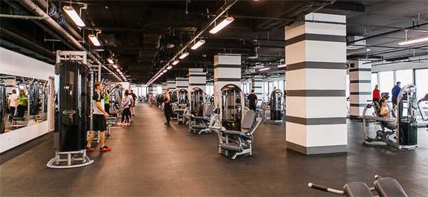 Как приступить к тренировкам