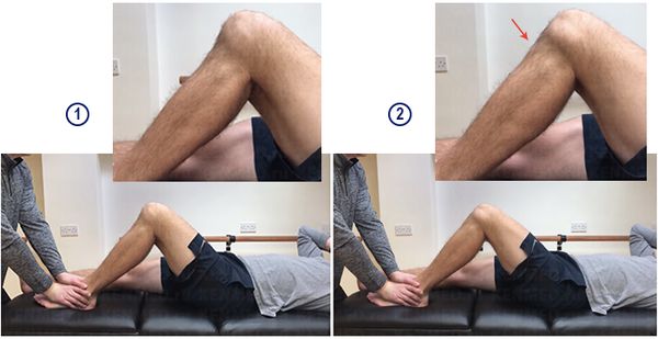 Активный динамический тест четырёхглавой мышцы [14]