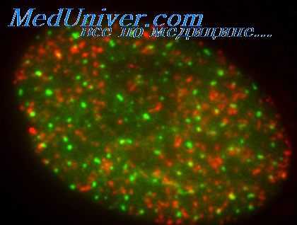 эритема кожи при радиации