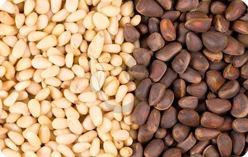 Кедровые орехи