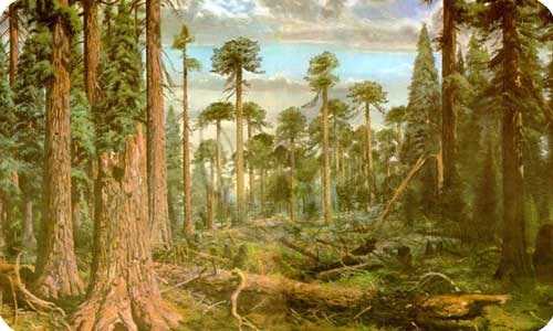 Юрский период