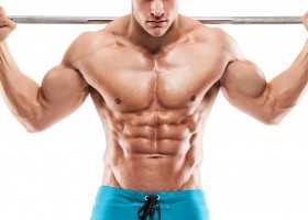 Анатомия грудных мышц