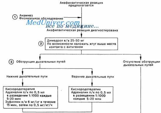 Первая и неотложная помощь при анафилактическом шоке