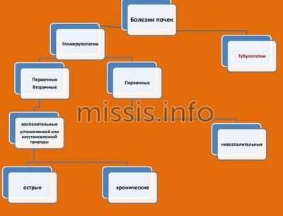 Основные патологии почек