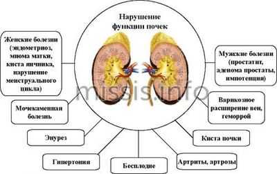 Последствия нарушения работы почек