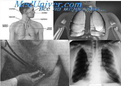 признаки травмы груди