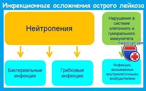 инфекционные осложнения острого лейкоза