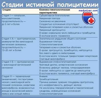 стадии истинной полицитемии