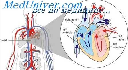 недостаточность митрального клапана