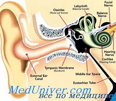 ушной менингит